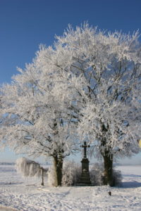 Winter in Manheim